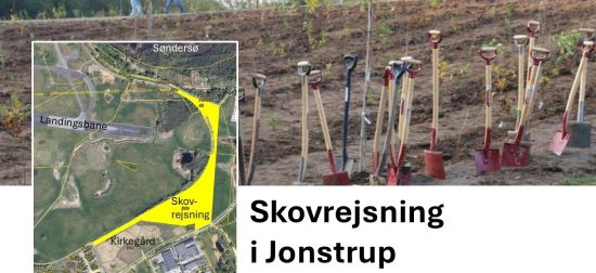 Skovrejsning.jpg